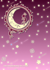 幸運的 Kokopelli、流星和四葉草 7