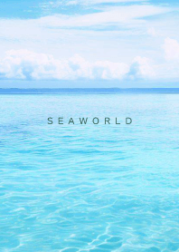 SEA WORLD - Hawaii 35
