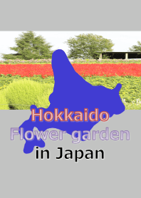 Landscape of flower garden in Hokkaido