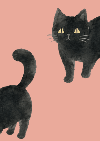 A unique cat06 pink & blue
