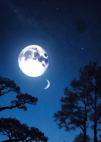 Bright Moon and Dawn CCF76C