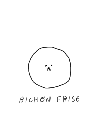 Bichon Frise / White Dog