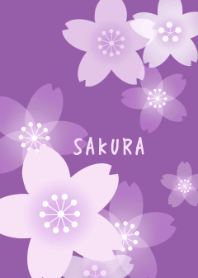 SAKURA Berry purple