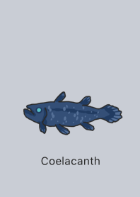 coelacanth
