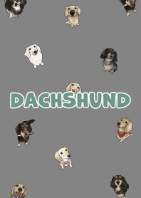 dachshund6 - dark grey
