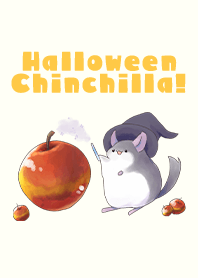 Halloween Chinchilla!