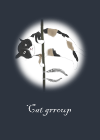 貓群