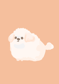 Malpoo