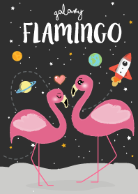 Flamingo Galaxy