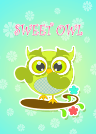 Sweet owl