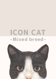 ICON CAT - Mixed breed cat - BEIGE/03