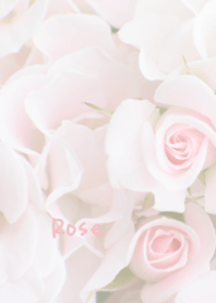 Rose Theme .