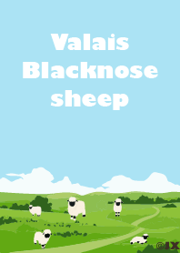 瓦萊黑鼻羊(草原篇)