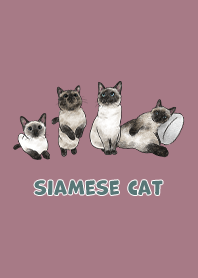 siamesecats3 / dark rose