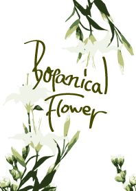 lily, Botanical flower
