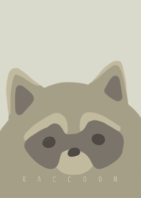 Raccoon