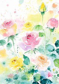 Beautiful rose flower(R4174)