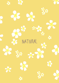 A white floret dances16 from Japan