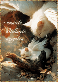 【幸運と自愛】生まれきてくれてありがとう