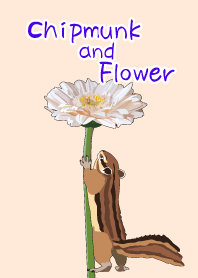 シマリスと花