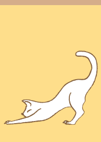 Stretching cat on B&Y JP