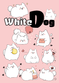 Cute White Dog