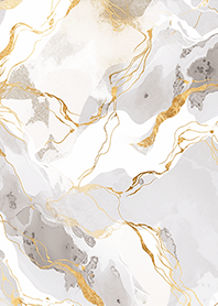 奢侈的金灰大理石❤