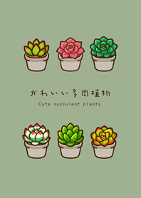 My succulent plants(grey green)