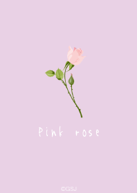 Dull pink rose from Japan