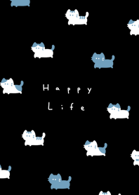 .แมว.　black aqua