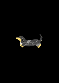 simple Dachshund(silver dapple)
