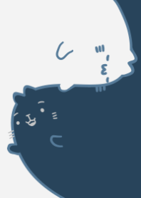 Tai Chi cat twins