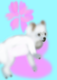 whitedog