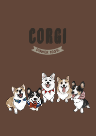 corgicorgi3 / dark brown
