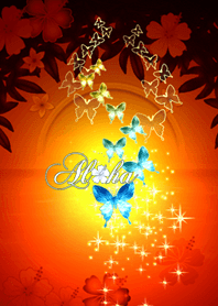 ALOHA Butterfly*2 Orange