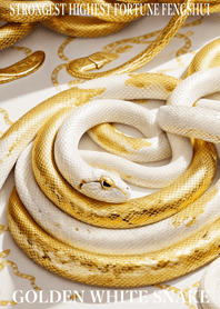 White snake  Lucky 08