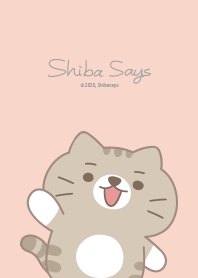 Shibasays Theme 10 Pink