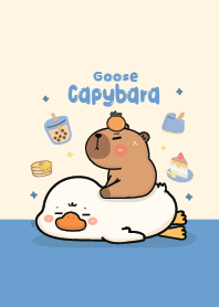 คาปิบาร่าเอง & ห่านนะ มันน่ารัก!