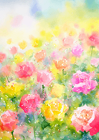 Beautiful rose flower(R5393)