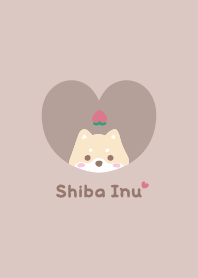 Shiba Inu2 Peach - brown