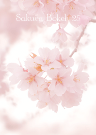 Sakura Bokeh 25