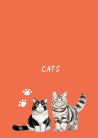 Talking Cats on red & yellow