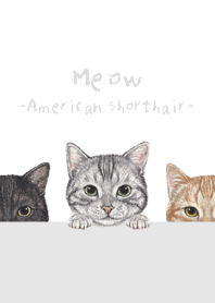 Meow - American Shorthair - WHITE/GRAY