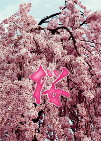 桜_1