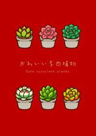 私の多肉植物（赤）