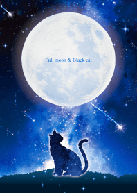 Bring good luck Full moon & Cat 13