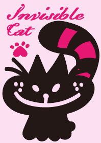 Invisible Cat