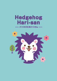 Hedgehog Hari-san