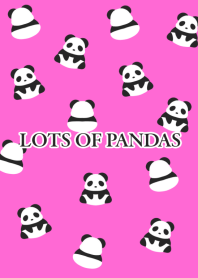 LOTS OF PANDAS-HOT PINK