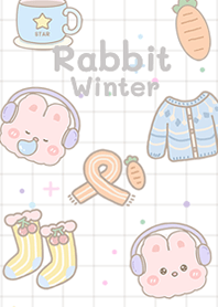 Rabbit In Winter!